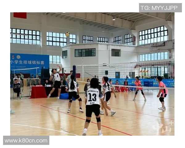 重庆排球队与深圳排球队的赛后复盘分析团队协作的关键因素与表现